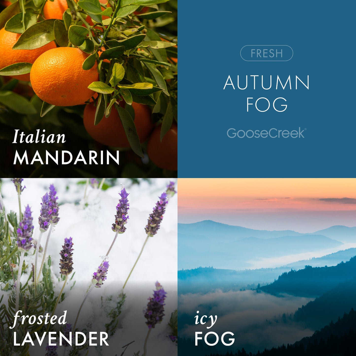 Autumn Fog 3-Wick Candle