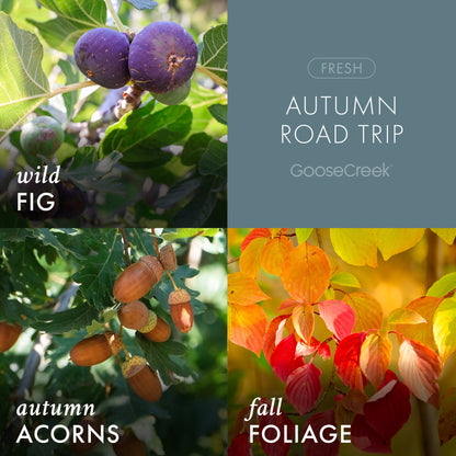 Autumn Road Trip 3-Wick Candle