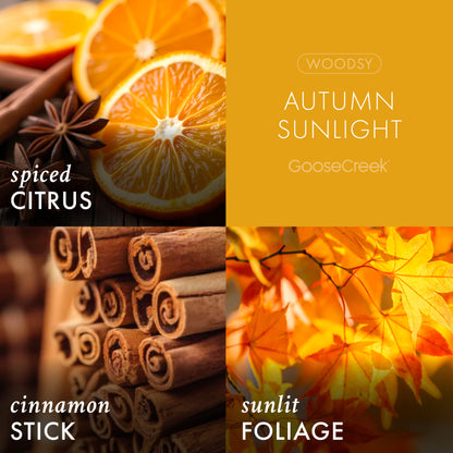 Autumn Sunlight 3-Wick Candle