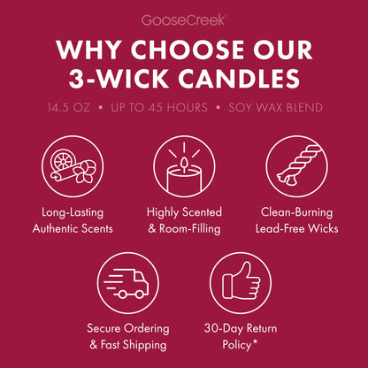 Autumn in Amsterdam 3-Wick Candle