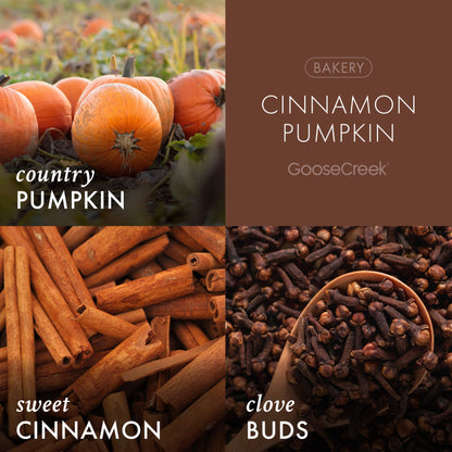 Cinnamon Pumpkin Plug-in Refill