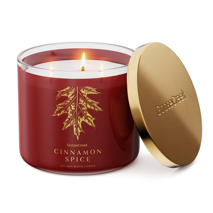 Cinnamon Spice 3-Wick Candle