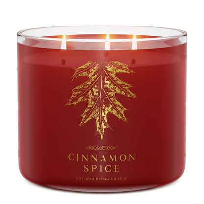 Cinnamon Spice 3-Wick Candle