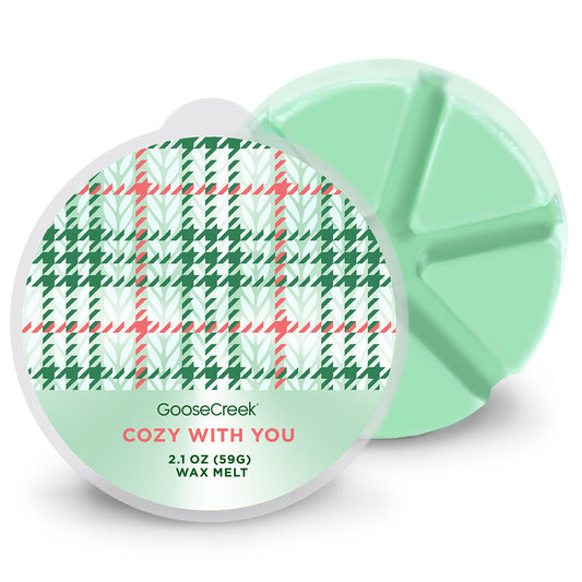 Cozy With You Wax Melt
