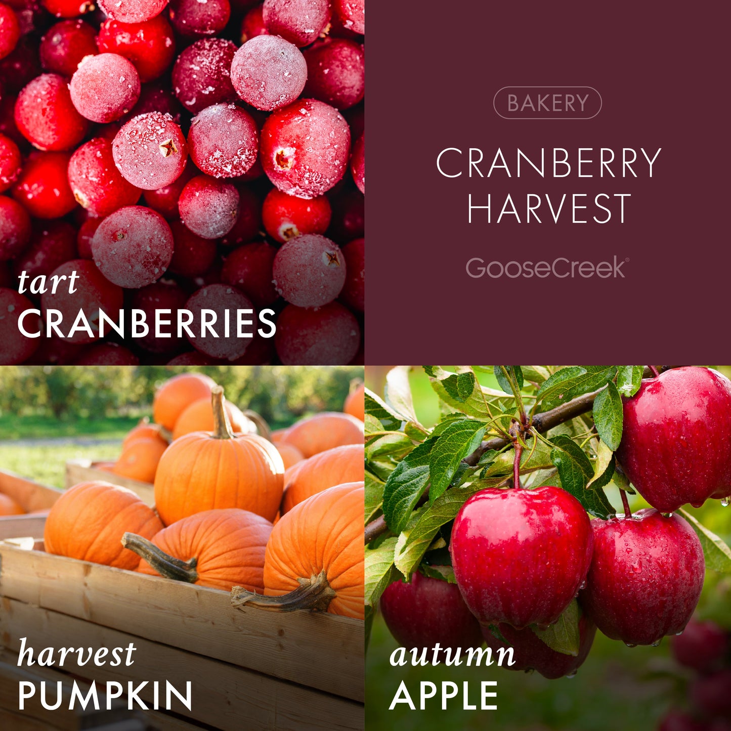 Cranberry Harvest 3-Wick Candle