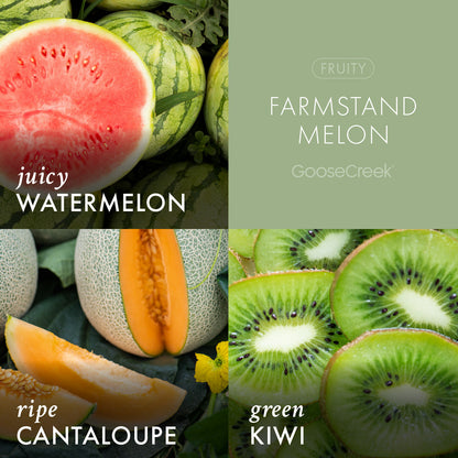 Farmstand Melon Wax Melt