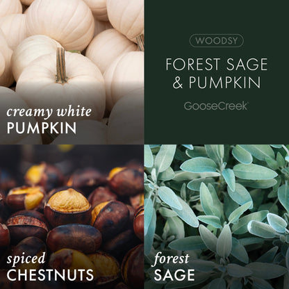 Forest Sage & Pumpkin 3-Wick Candle