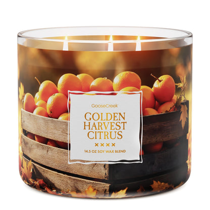 Golden Harvest Citrus 3-Wick Candle