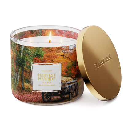 Harvest Hayride 3-Wick Candle