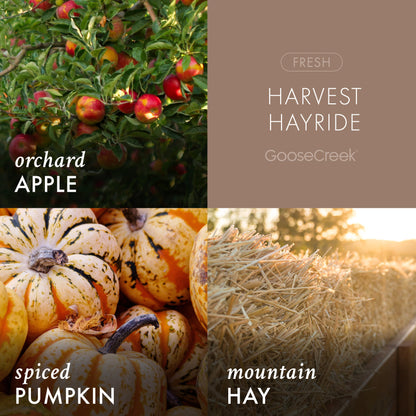 Harvest Hayride 3-Wick Candle