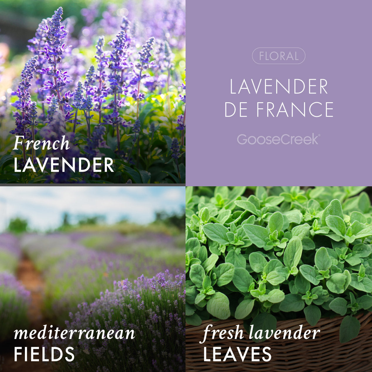 Lavender de France Wax Melt