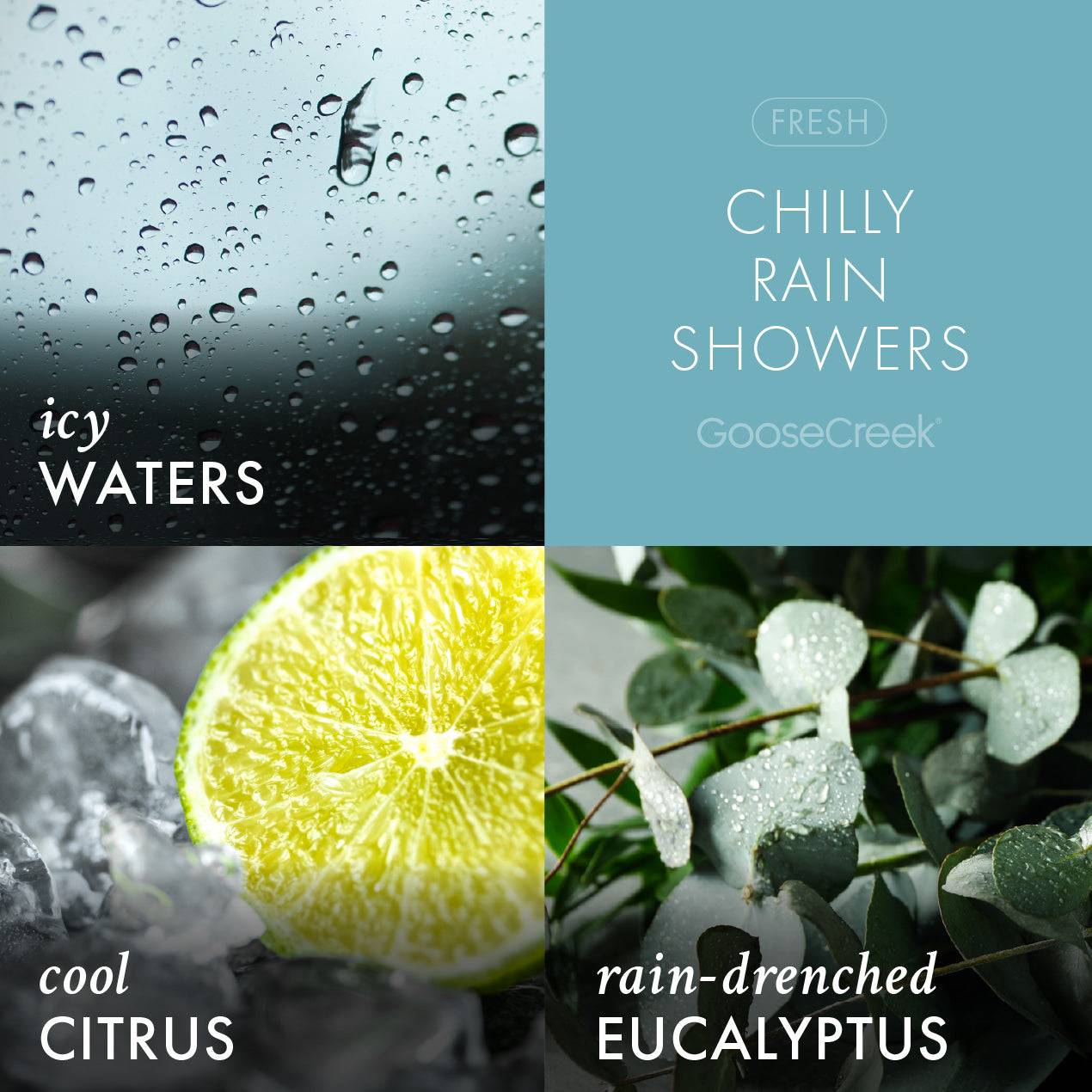 Odor Eliminating Chilly Rain Showers Wax Melt