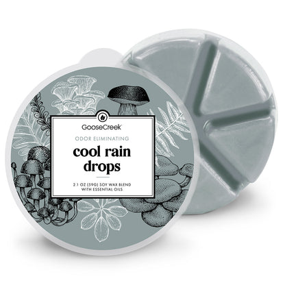 Odor Eliminating Cool Rain Drops Wax Melt
