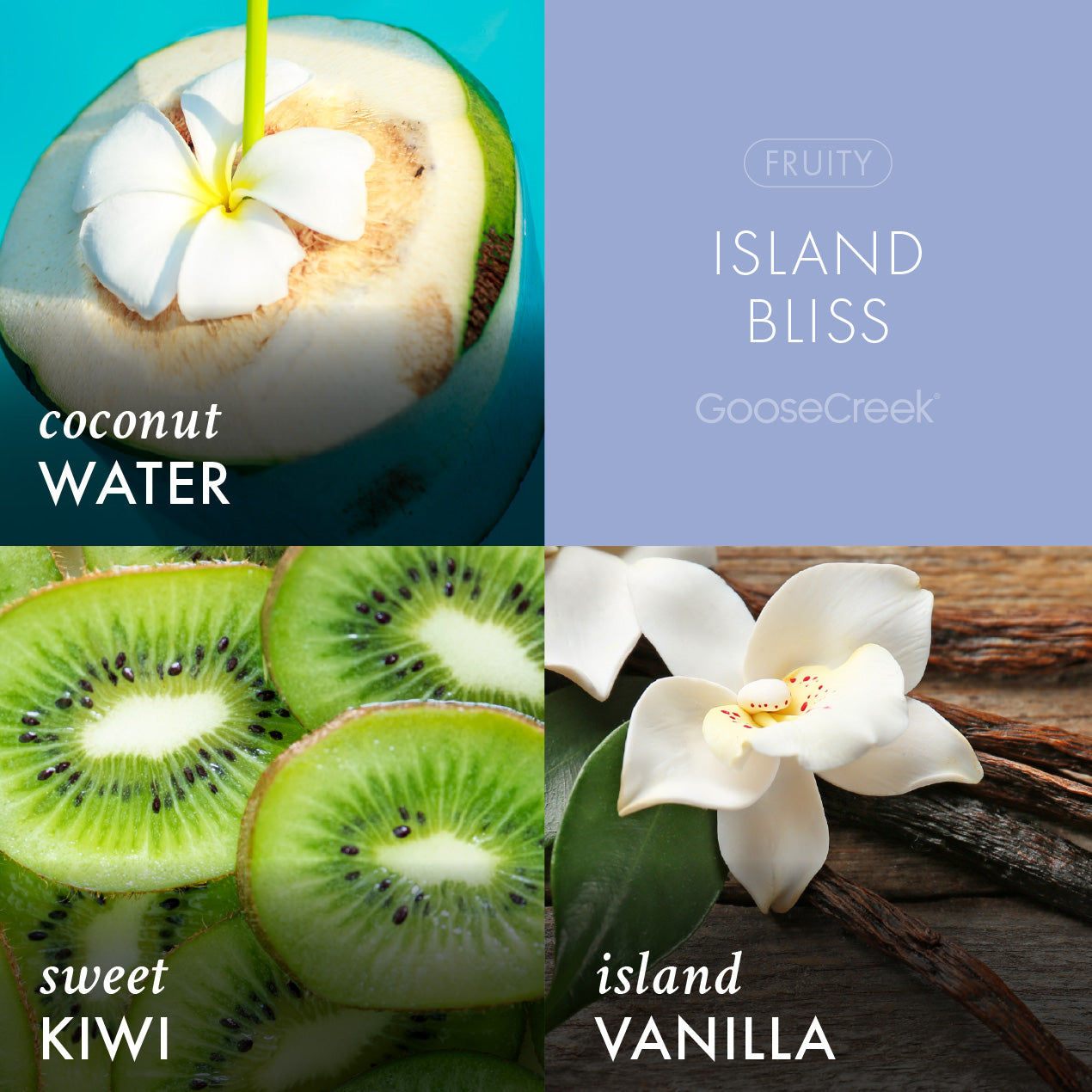 Odor Eliminating Island Bliss Plug-in Refill
