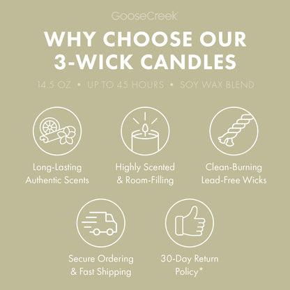 Odor Eliminating Warm & Welcome 3-Wick Candle