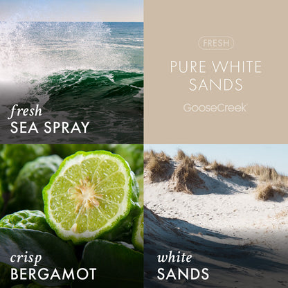 Pure White Sands Lush Foaming Hand Soap