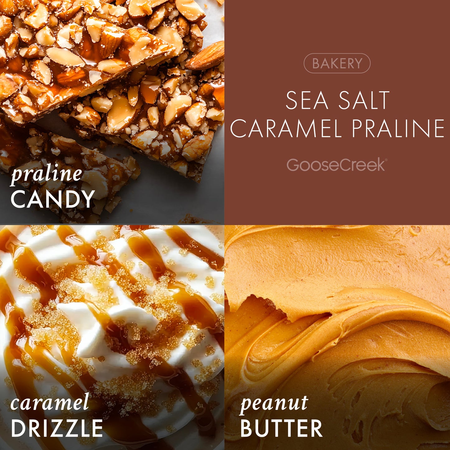 Sea Salt Caramel Praline 3-Wick Candle