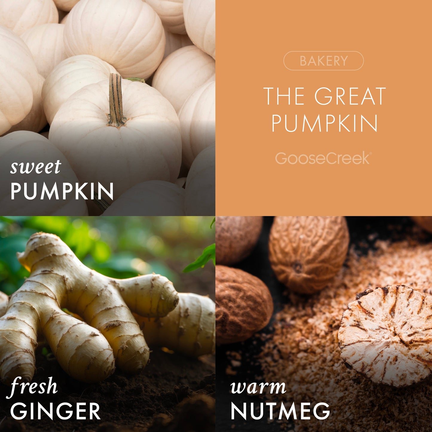 The Great Pumpkin 3-Wick Peanuts Candle