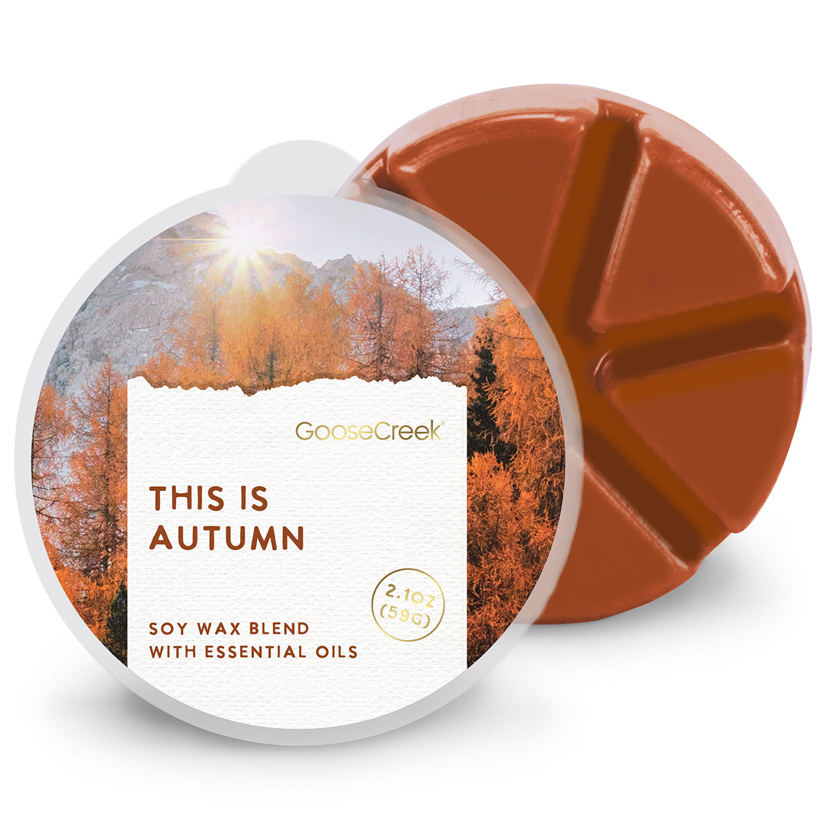 This Is Autumn Wax Melt