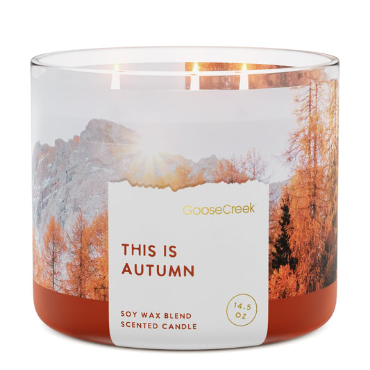 This is Autumn 3-Wick Candle