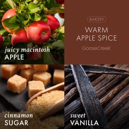 Warm Apple Spice 3-Wick Candle