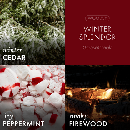 Winter Splendor 3-Wick Candle